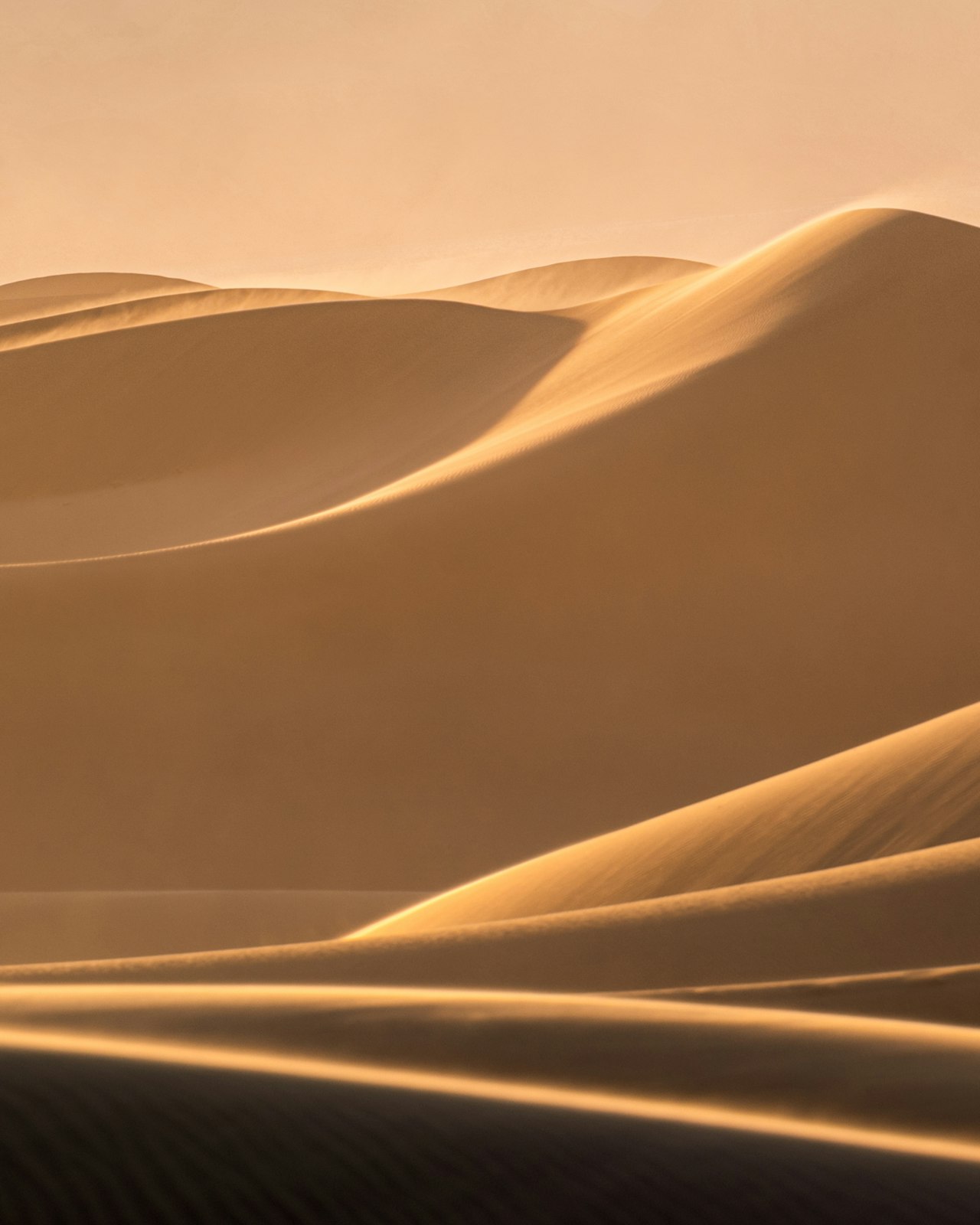 Weiche goldene Sanddünen in warmem Morgenlicht.